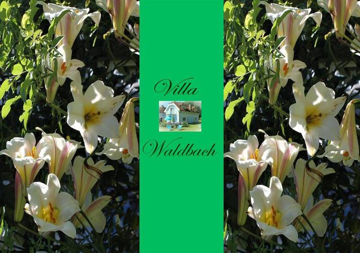 Ferienwohnung für 6 Personen, mit Seeblick und Ausblick sowie Garten in Krumpendorf am Wörthersee