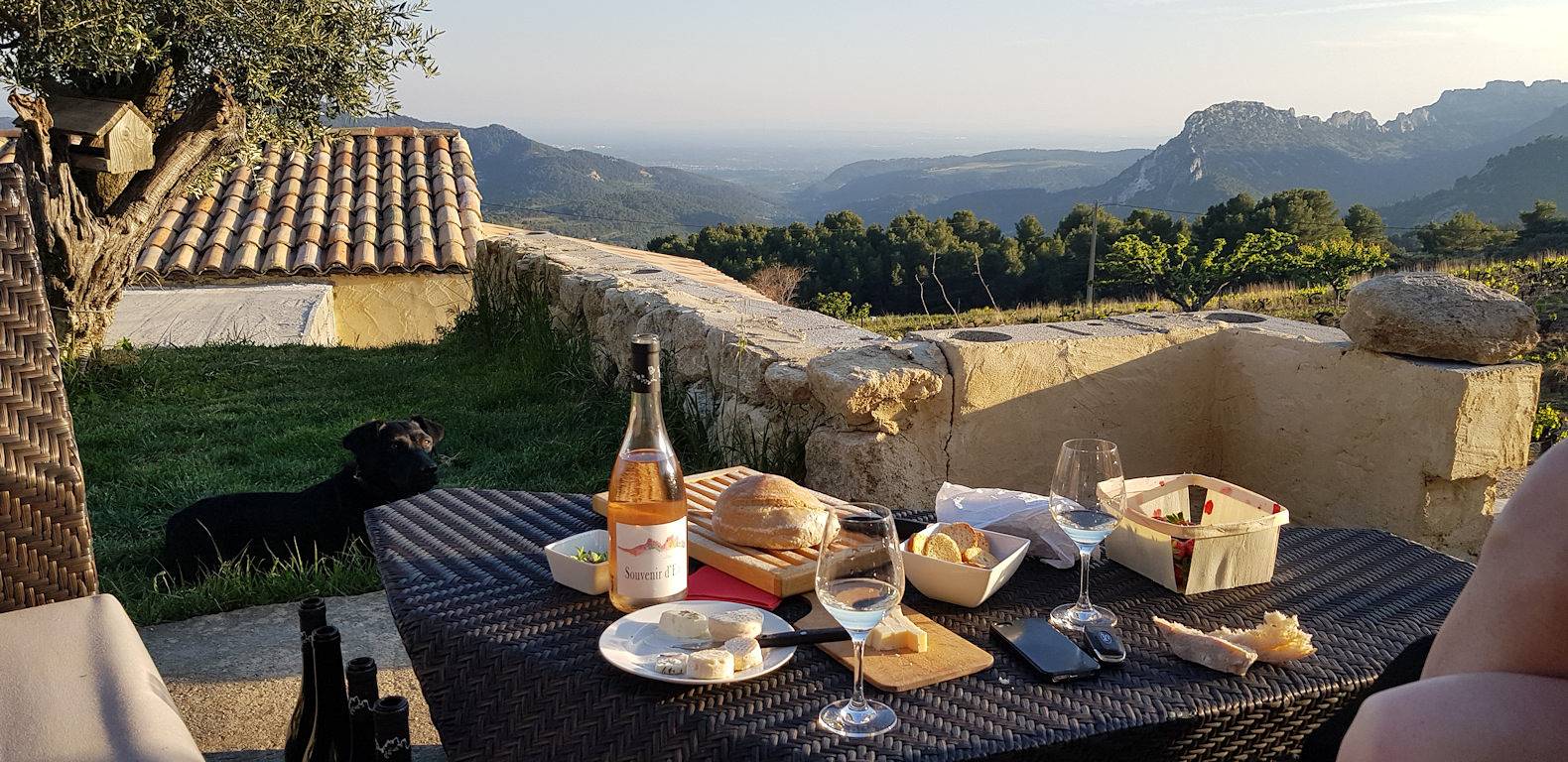 Domaine Demoiselle Suzette - Chambre Vignerone in Suzette, Vaucluse