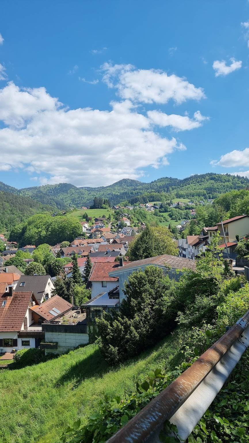 Ferienhaus 'Bühlertal Mit 3 Fewos' mit Bergblick, privater Terrasse und Wlan in Bühlertal, Mittlerer Schwarzwald