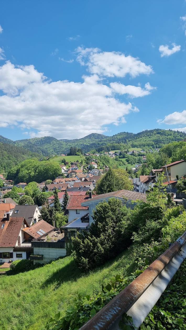 Ferienhaus für 12 Personen, mit Garten, mit Haustier in Bühlertal - 2