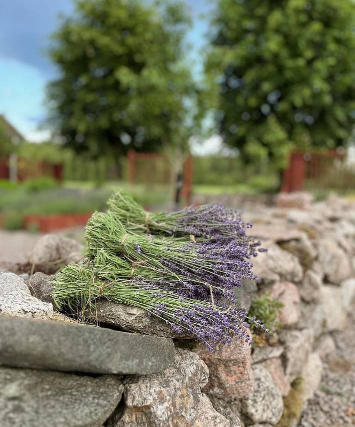 Ferienhaus für 2 Personen, mit Garten und Ausblick sowie Terrasse, mit Haustier in Hjo - 2