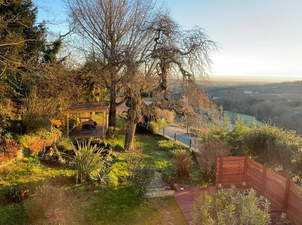 Les Agapanthes in Vaux-en-Beaujolais, Région de Villefranche-sur-Saône