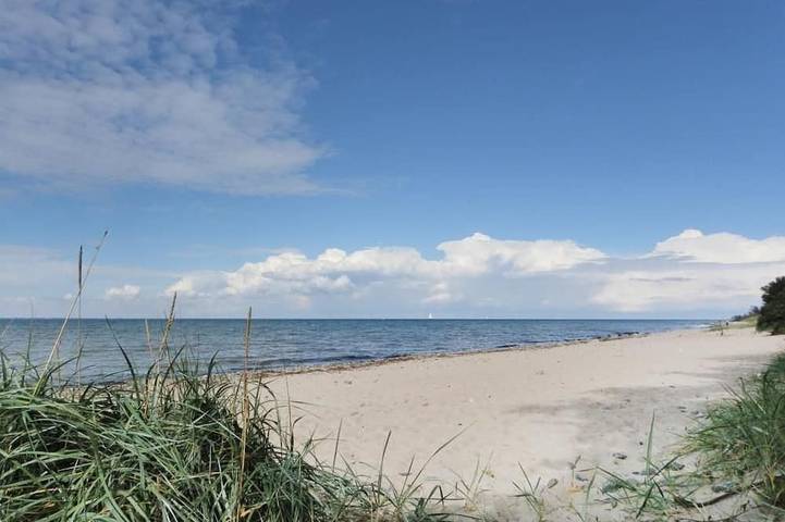 Cottage für 8 Personen, mit Garten und Sauna, mit Haustier in Kalkhorst - 4