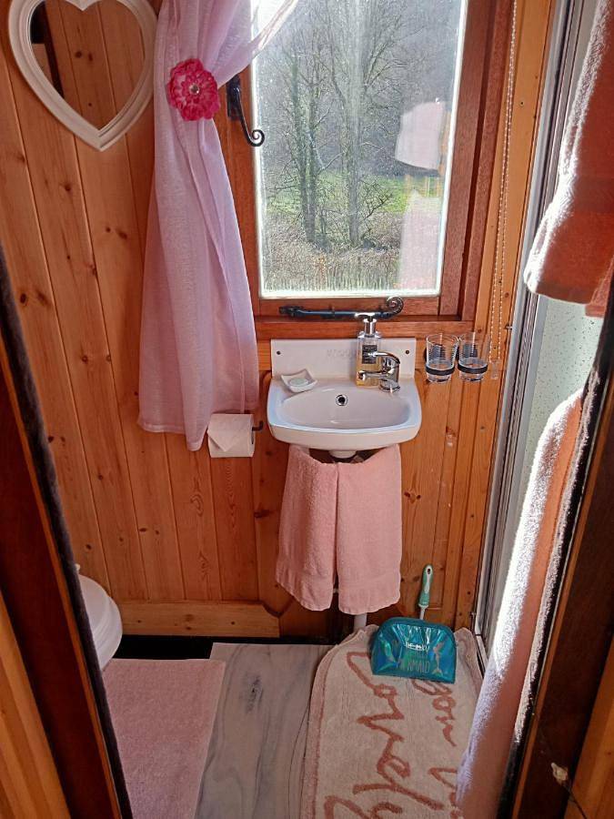 'Morris' the shepherd's hut ,woodland hot tub available, separate fee in Carmarthenshire