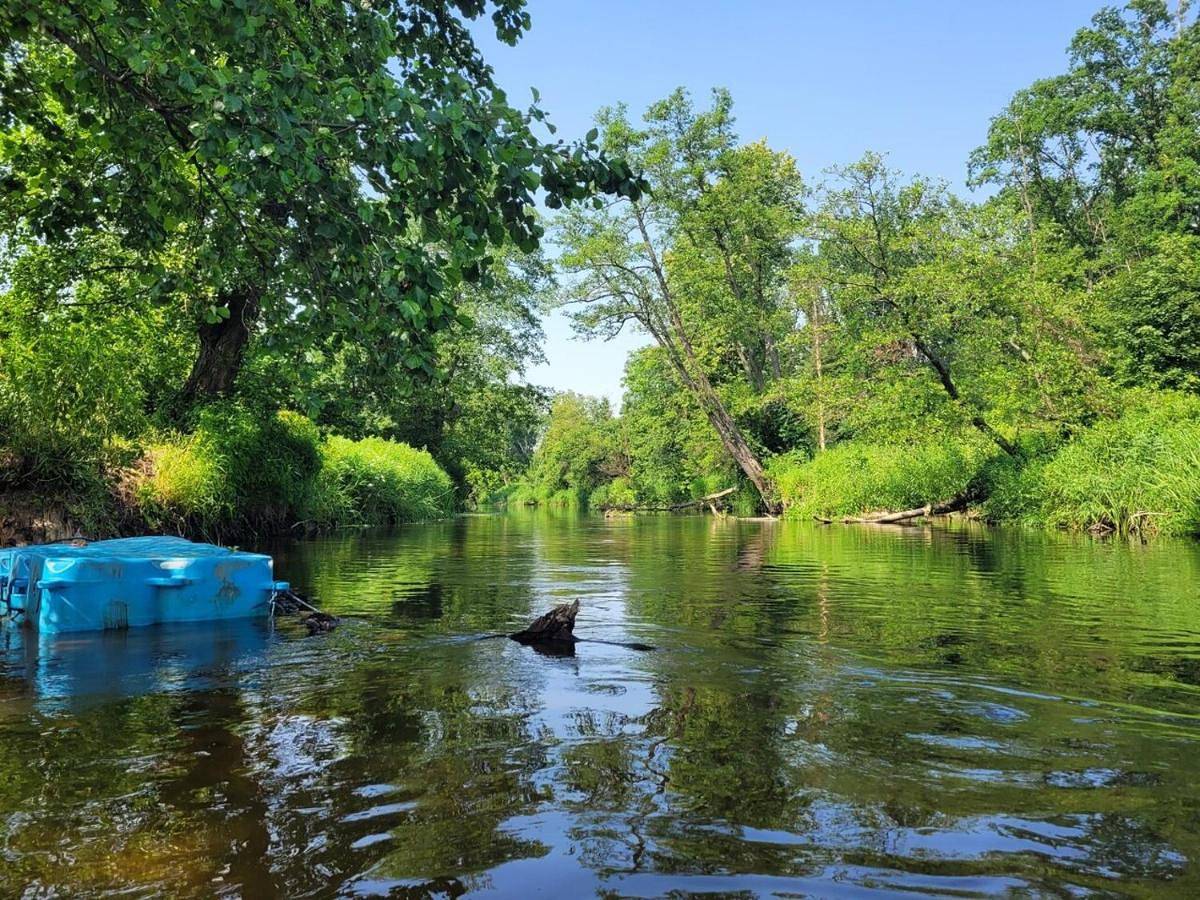 Wiosłem w Hamaku Domek nad Wkrą in Mazowsze