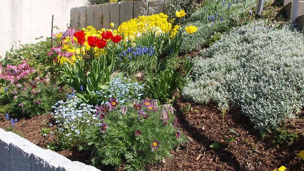 Doppelzimmer für 4 Personen (22 m²) in Herbolzheim in Europa-Park, Herbolzheim