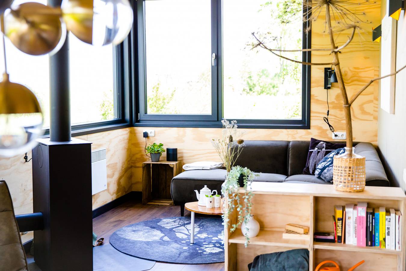 Pean-buiten — Waterlodge Iisfûgel in Nationaal Park De Alde Feanen