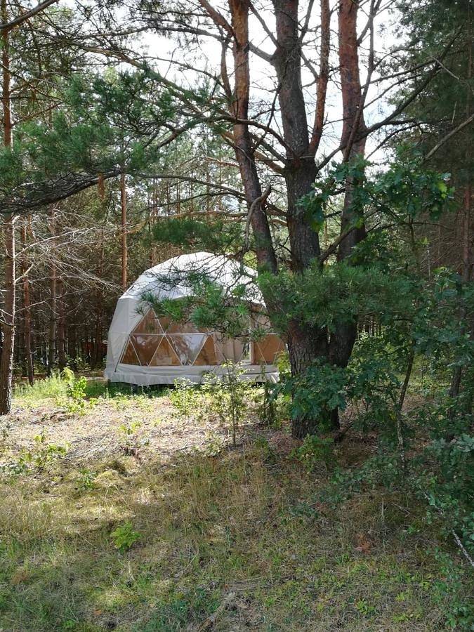 Glamping Drzwi Do Lasu in Podlasie