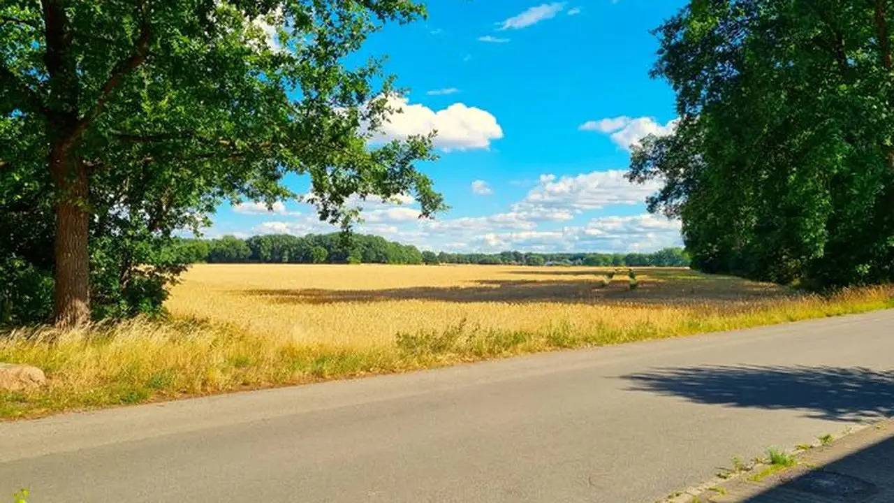 Ganze Ferienwohnung, Ferienwohnung für 5 Personen (55 m²) in Uelzen in Uelzen, Landkreis Uelzen
