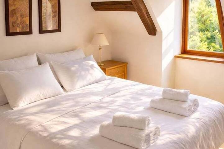 Location de vacances pour 16 personnes, avec jardin à Châtillon-sur-Indre - 3