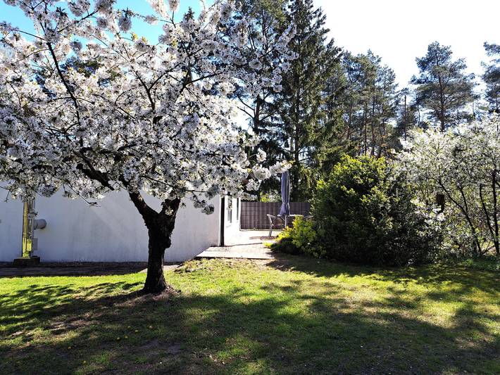 Ferienhaus für 2 Personen, mit Garten und Terrasse, mit Haustier im Stettiner Haff - 4