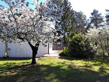 Bungalow für 2 Personen in Altwarp, Vorpommern, Bild 3