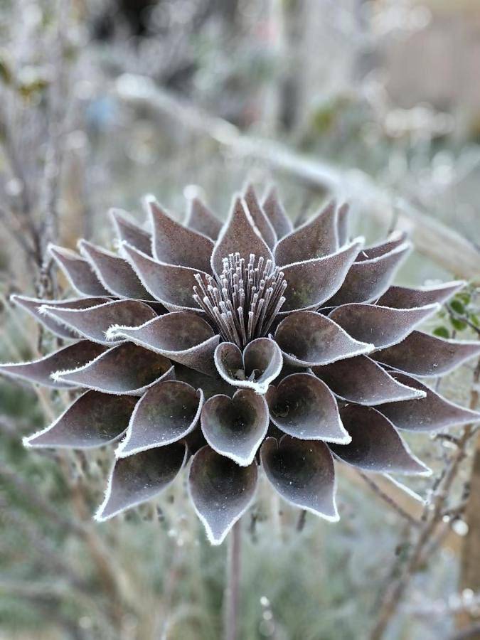 Location de vacances pour 3 personnes, avec jardin et terrasse à Saint-Vitte-sur-Briance - 2