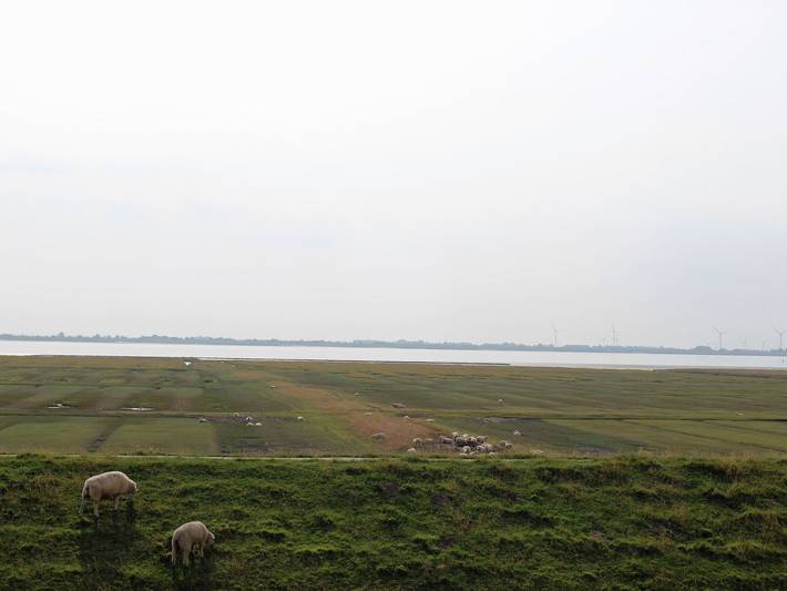 Ferienwohnung für 2 Personen, mit Ausblick in Nordstrand - 3