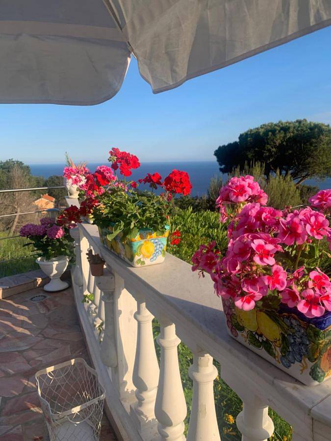 Villa Elianna in una oasi marina in Alassio, Riviera di Ponente