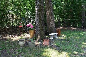 Vacation House for 4 Guests in Hot Springs, Ouachita National Forest, Picture 4