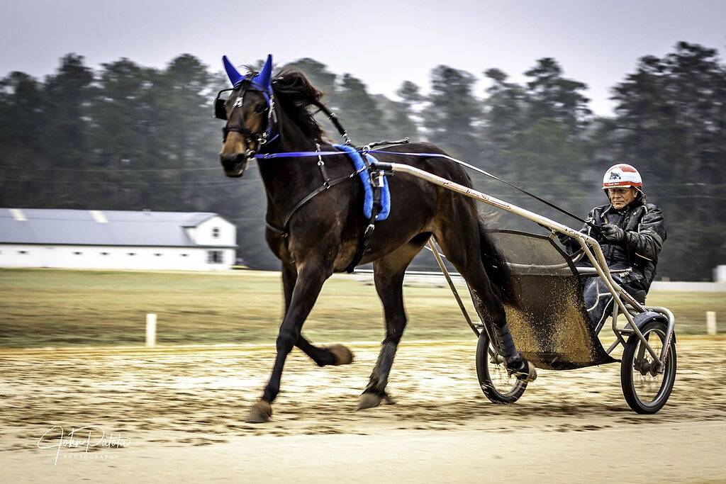 Ganze Wohnung, Liegt in Pinehurst, zwischen Kurs 5 und dem Harness Track, nur einen kurzen Spaziergang vom Resort entfernt in Pinehurst, Moore County