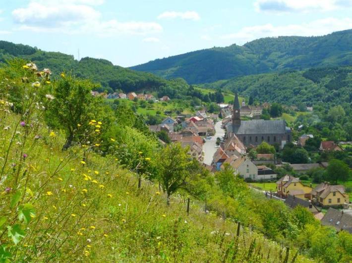Gîte pour 6 personnes, avec jardin à Steige - 2