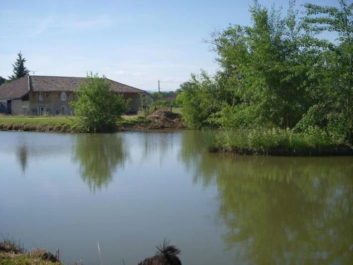 Maison de vacances pour 12 personnes, avec terrasse dans l' Ain - 4