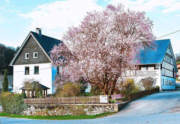 Ferienpark für 3 Personen, mit Terrasse und Garten in Winterberg
