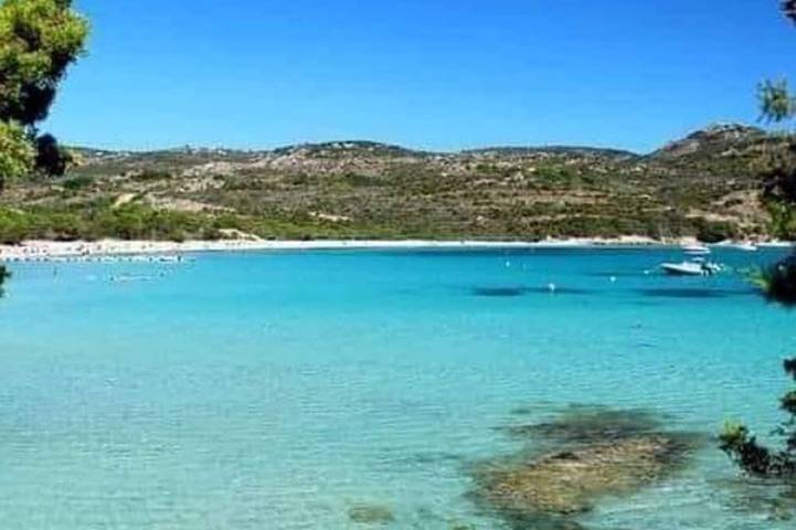 Location de vacances pour 6 personnes, avec jardin et balcon, animaux acceptés dans Plage de Tamaricciu