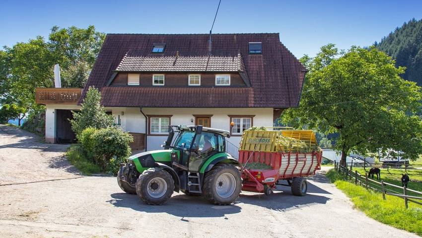 Bauernhof für 4 Personen, mit Balkon und Garten in Baden-Württemberg - 2