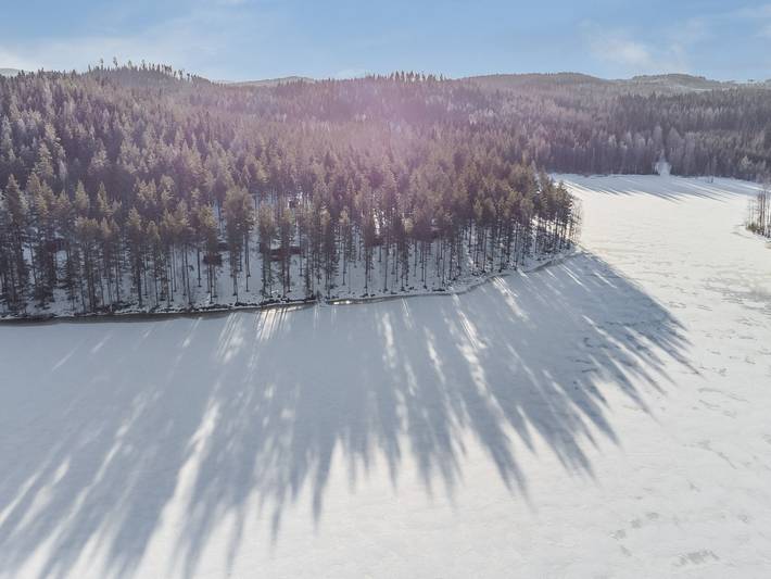 Aittoniemi i in Jämsä, Mittelfinnland