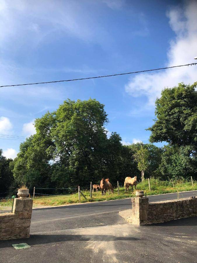 Gîte pour 4 personnes, avec vue et terrasse, animaux acceptés à Saint-Setiers - 3