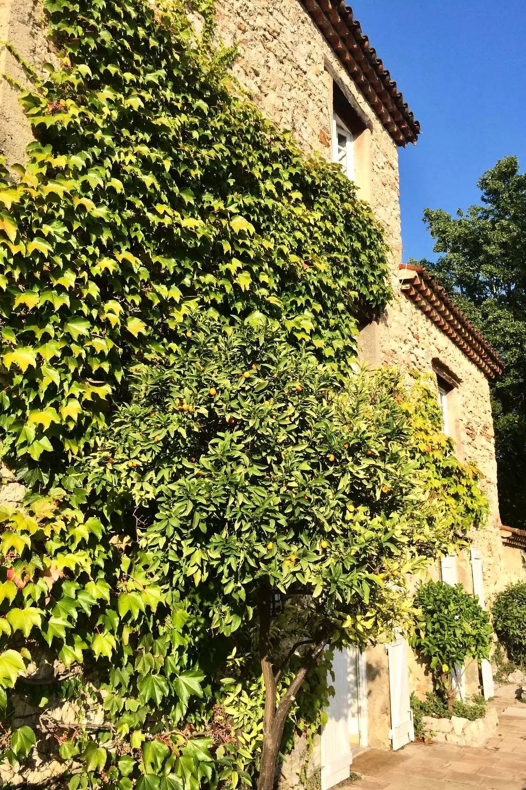 Maison 10 Personnes in Saint-Paul-en-Forêt, Côte méditerranéenne (France)