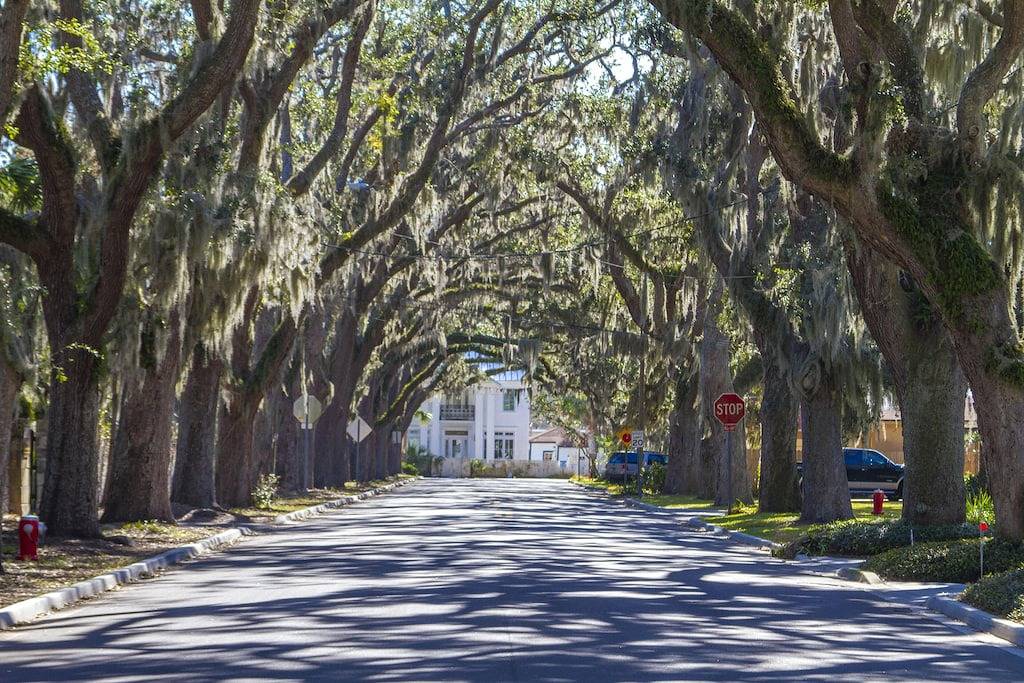 Great Location ~ Oceanfront Townhome ~ Check Out The Views! in Vilano Beach, St. Johns County