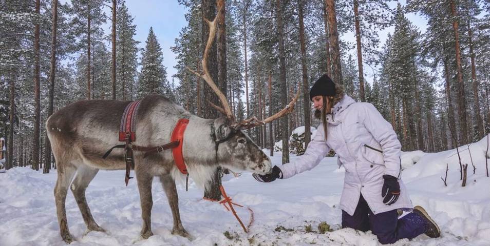 Exklusive Unterkunft im Land der Nordlichter in Pajala, Norrbotten