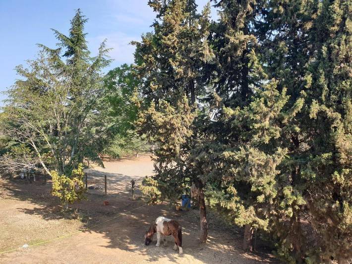 Location de vacances pour 2 personnes, avec jardin ainsi que vue et piscine à Béziers - 4