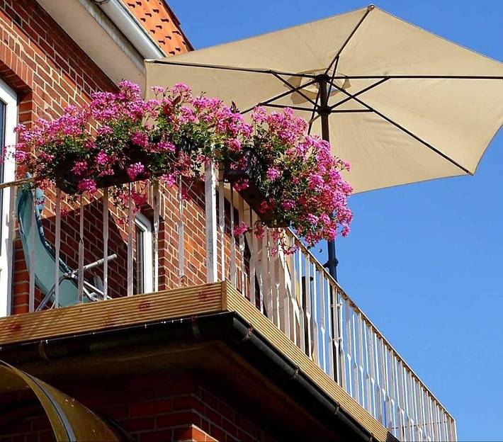 Ferienwohnung für 2 Personen, mit Garten in Grünendeich - 4