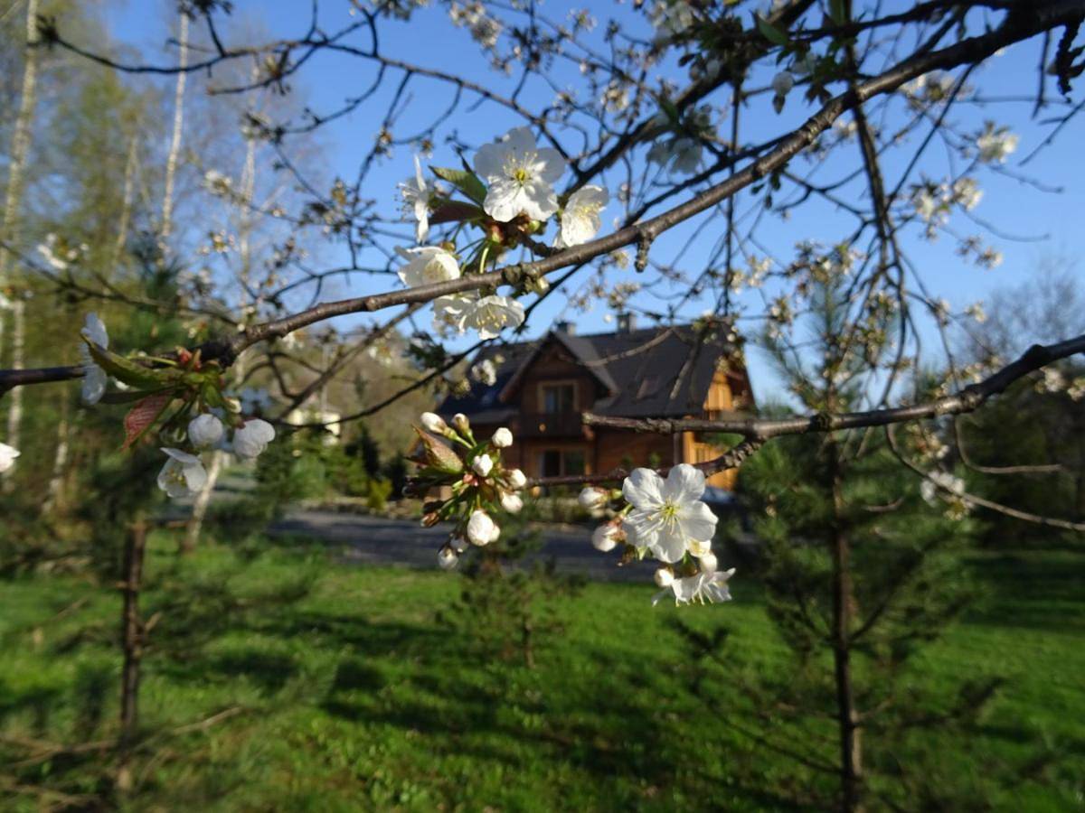 Cały apartament, Willa Potoczówka in Rzyki, Małopolska