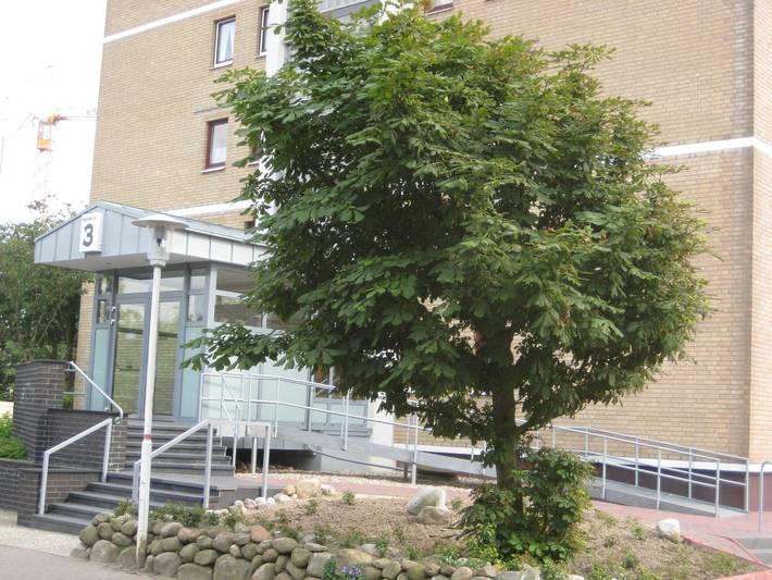 Ferienwohnung für 3 Personen, mit Balkon und Terrasse in Büsum - 3