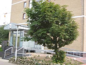 Ferienwohnung für 3 Personen in Büsum, Nordseeküste, Bild 2