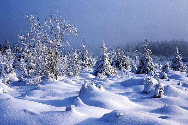 Maison de vacances pour 7 personnes, avec terrasse et sauna ainsi que jacuzzi et jardin à Waimes