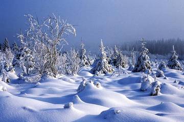 Location de vacances pour 7 personnes, avec terrasse et jacuzzi ainsi que jardin et sauna dans Ovifat