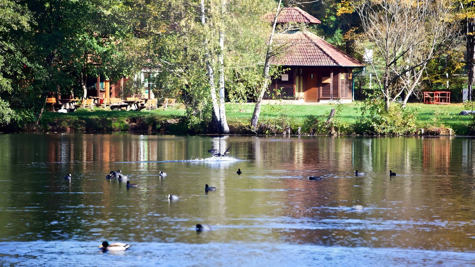 Ganze Wohnung, Ferienwohnung für 2 Personen (39 m²) in ludwigswinkel ( mit Haustier möglich ) in Ludwigswinkel, Landkreis Südwestpfalz