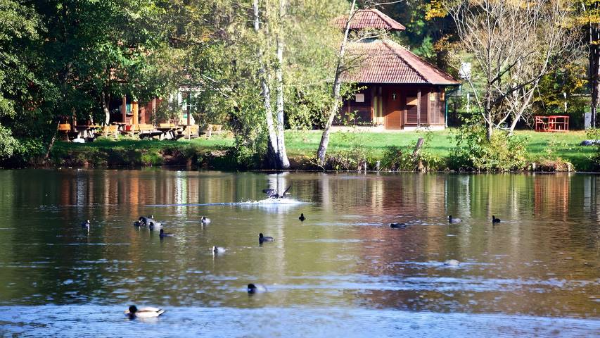 Ferienwohnung für 2 Personen, mit Balkon und Garten in der Pfalz