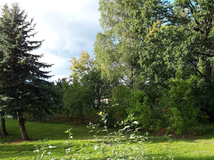 Hütte für 4 Personen, mit Garten und Terrasse, kinderfreundlich in Mecklenburgische Seenplatte - 4