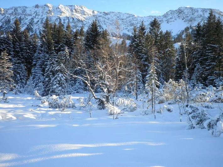 Ferienwohnung für 2 Personen, mit Balkon und Garten, kinderfreundlich in Oberjoch - 3