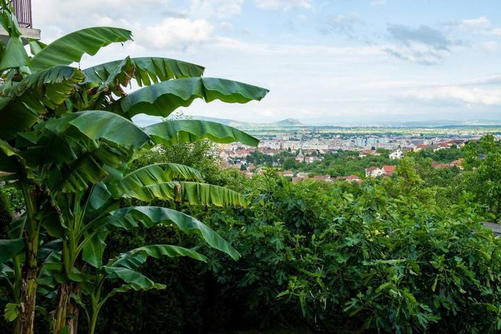 Gîte pour 2 personnes, avec piscine et sauna ainsi que jardin et vue dans Deva (Roumanie) - 4