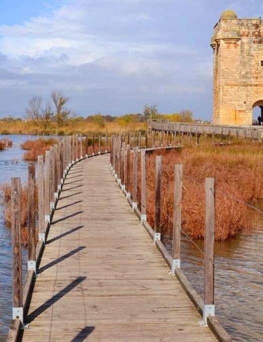 Location de vacances pour 3 personnes, avec jardin à Saint-Laurent-d'Aigouze - 4