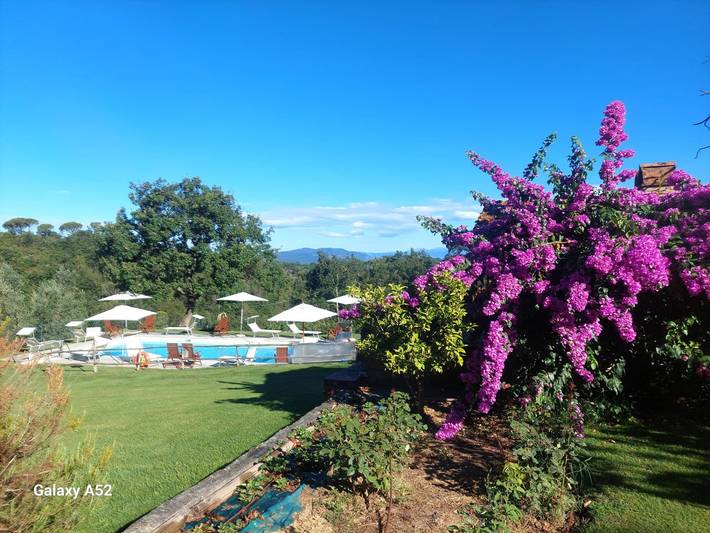 Gîte pour 4 personnes, avec terrasse et jardin à Scandicci - 4