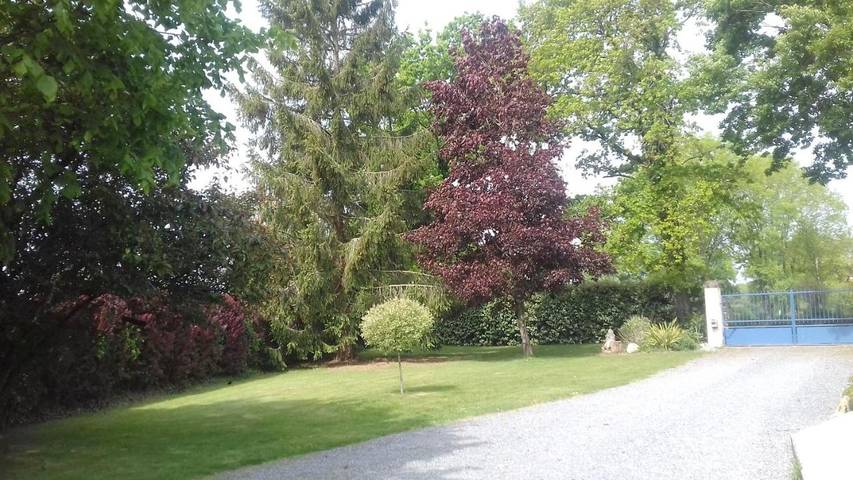 Gîte pour 3 personnes à Saint-Gravé - 4