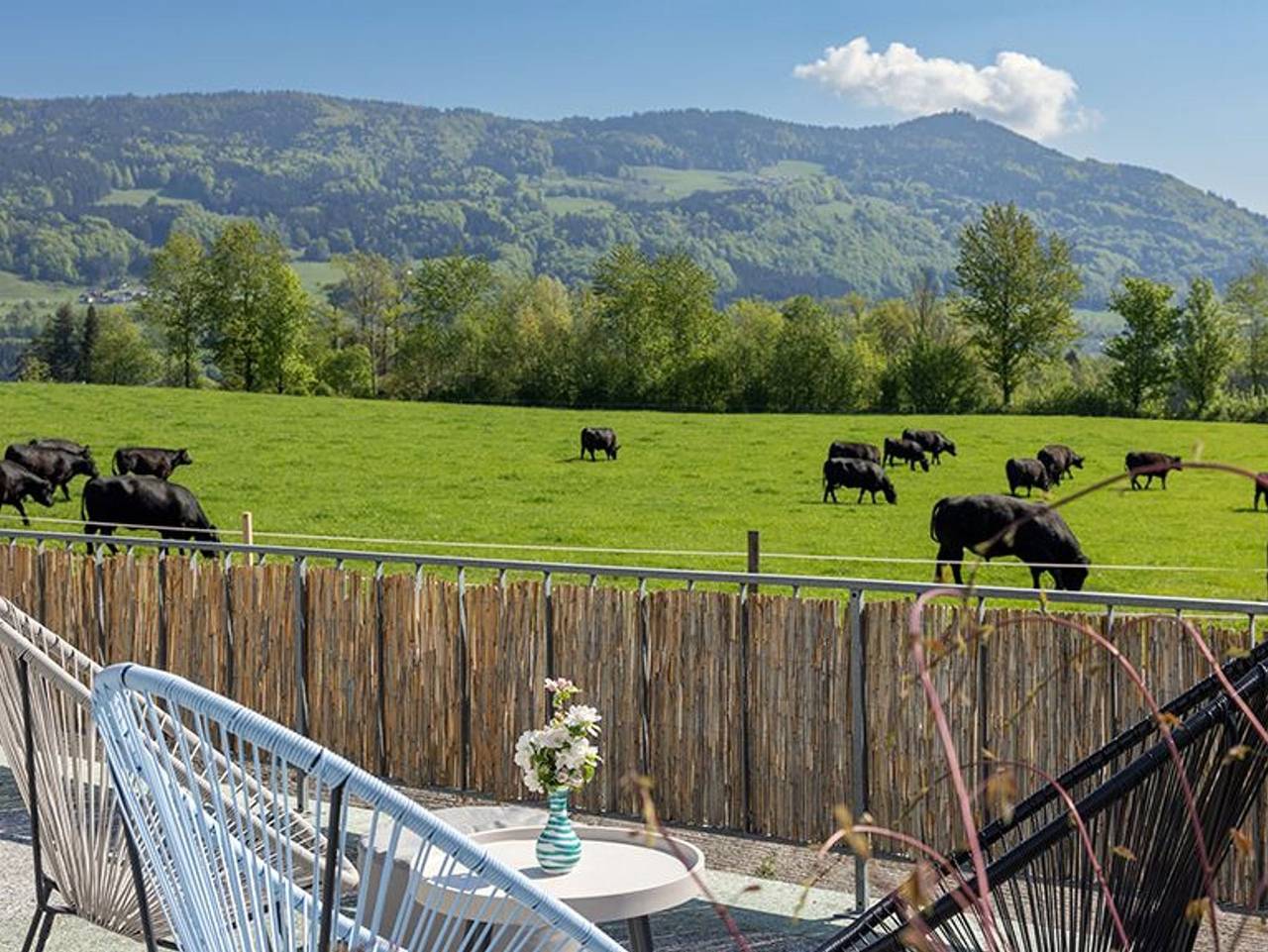 Gästehaus Drachennest - Doppelzimmer Franzl in Salzkammergut-Berge, Sankt Lorenz
