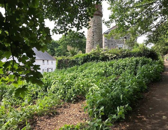 Holiday rental for 6 people, with Garden and View in Helston