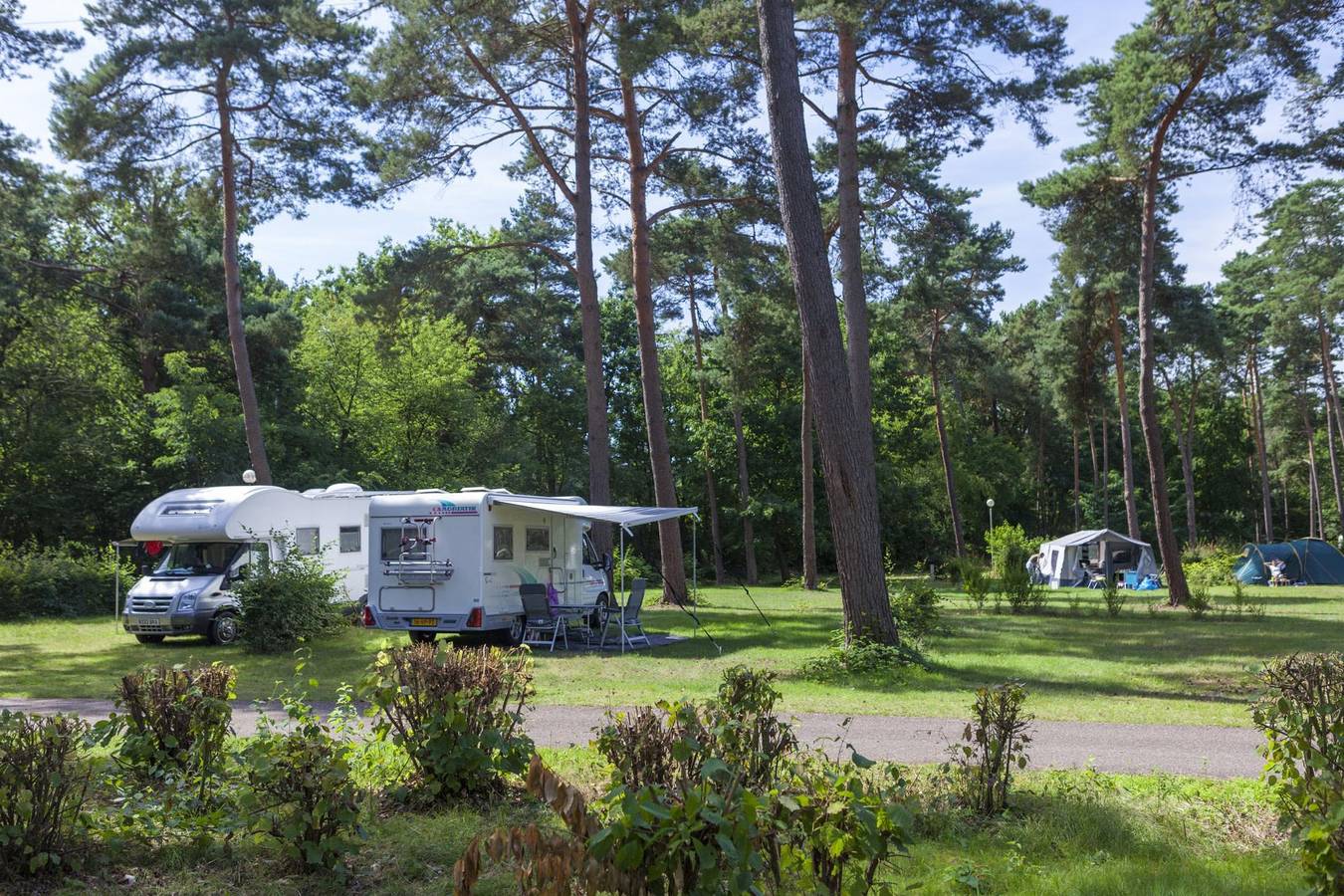 Europarcs De Wije Werelt — Kampeerplaats Comfort Xl in Hoge Veluwe