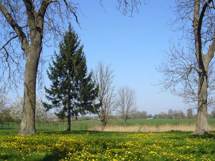 Ferienhaus für 9 Personen, mit Terrasse in Dreschvitz - 4